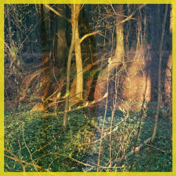 L.T. Leif - 'Own Blood'