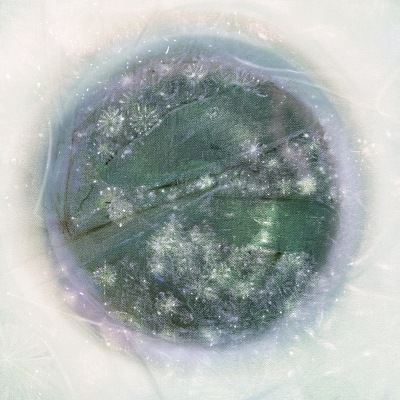 Alexia Avina - 'Poison'