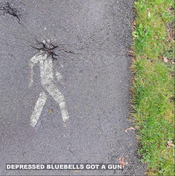 Control Moon - Depressed Bluebells Got a Gun