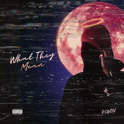 What They Mean - DIWON