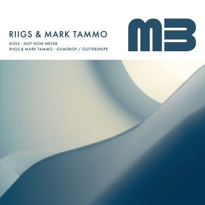 Riigs, Mark Tammo - Gumdrop EP