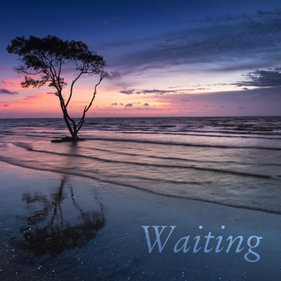 Curtwood Bearsman ~ Waiting