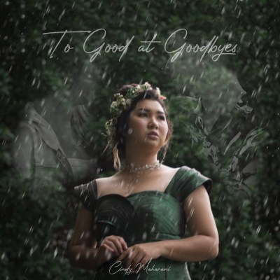 To Good at Goodbyes