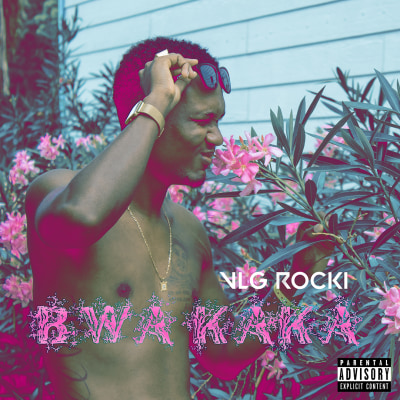 Album "BWA KAKA" de Vlg Rocki