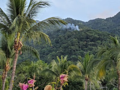 tribal jungle party mix