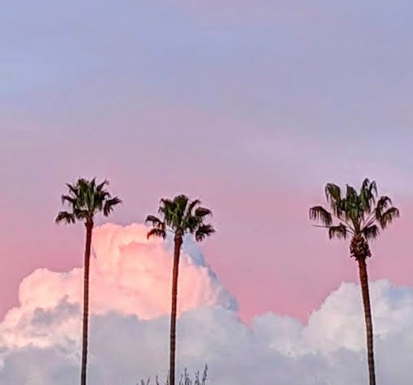 Feel Good Happy Chill Tunes