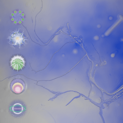 Lisa Pulsatilla & Vivian Li - The Unseen Society of Microcreatures (SAL039) out August 2024 on sound as language