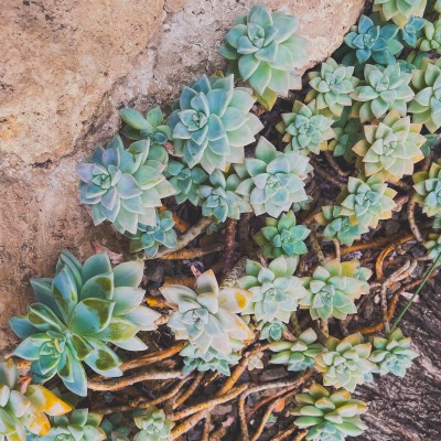 appian - fragments vol 2 (SAL038) out July 2024 on sound as language