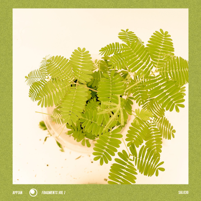 appian - fragments vol 1 (SAL030) out July 2023 on sound as language