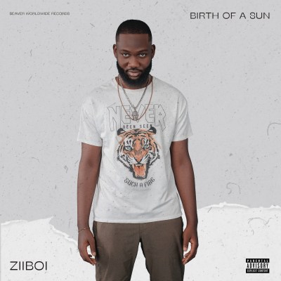 BIRTH OF A SUN