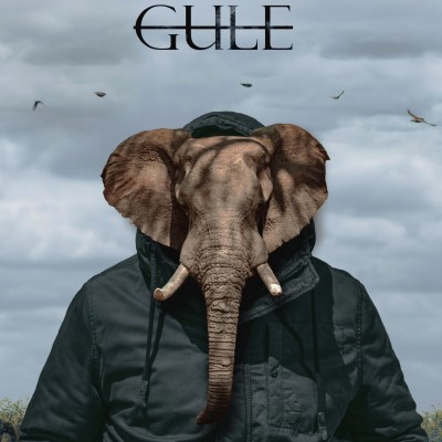 Apple Gule - GULE