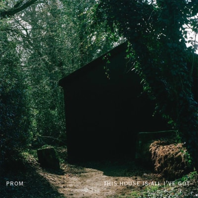 prom - This House Is All I've Got