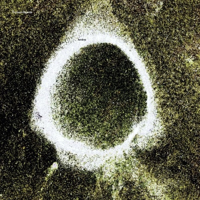 AMIIRA (Klaus Gesing, Björn Meyer, Samuel Rohrer): Curious Objects
