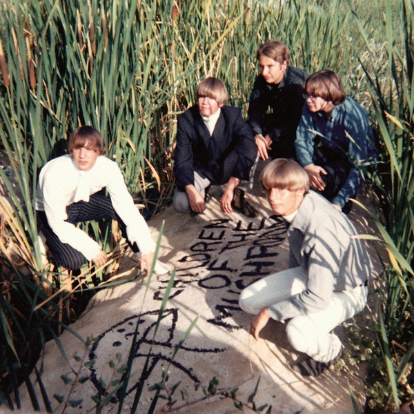 CHILDREN OF THE MUSHROOM: Children Of The Mushroom