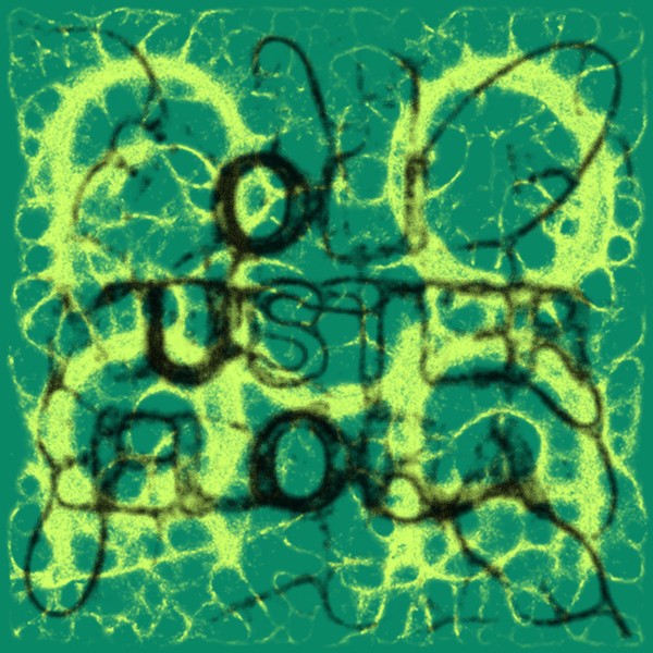 Oli Kuster - Flora