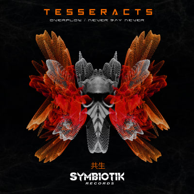 TESSERACTS - Overflow/Never Say Never