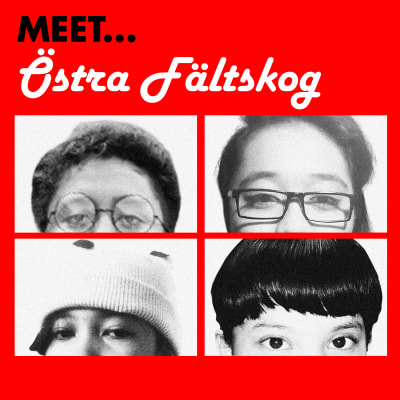 Meet... Östra Fältskog