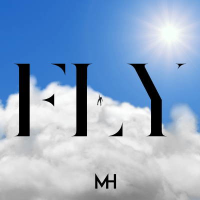 FLY