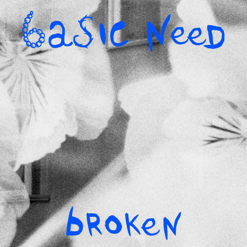Basic Need - Broken