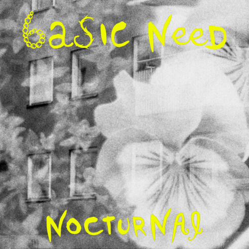 Basic Need - Nocturnal