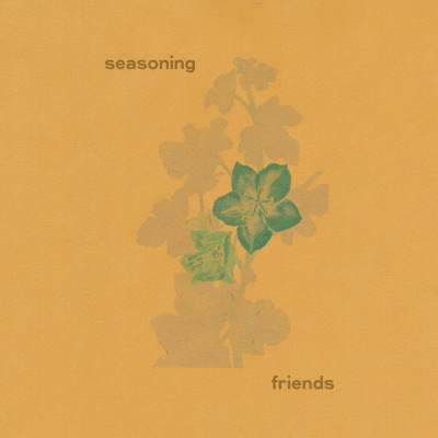 Seasoning - Friends