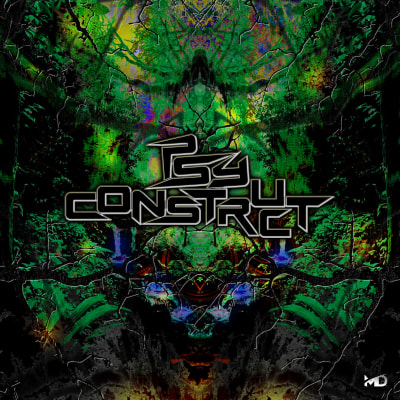PsyConstruct