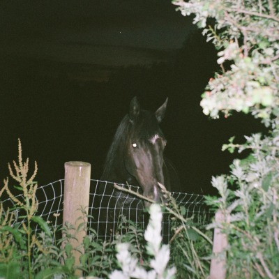 Manny Noir & psychedelic ensemble. - Nocturne