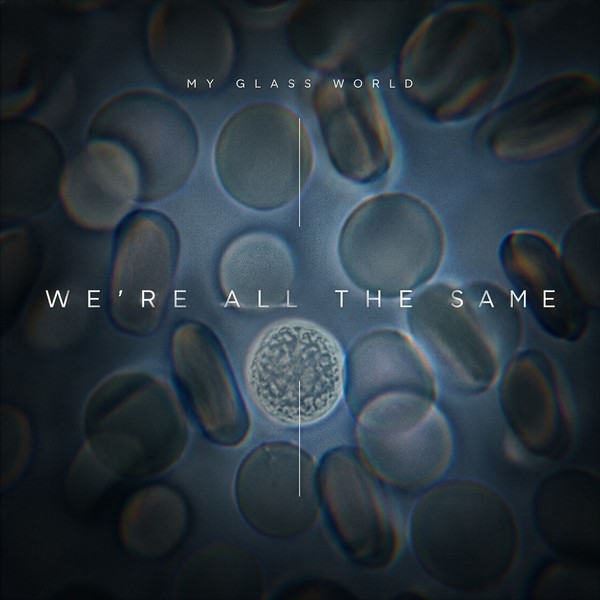We're All The Same - My Glass World