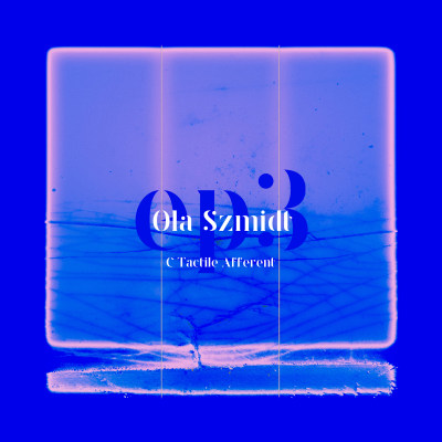 Ola Szmidt - C Tactile Afferent