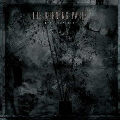 THE BURNING PARIS "Two Hearts" DSP links