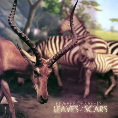 BEWARE OF SAFETY "Leaves/Scars" DSP links