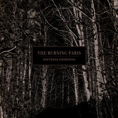 THE BURNING PARIS "Softness Goodness" DSP links