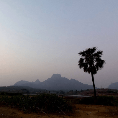 SightSeeing In 2020