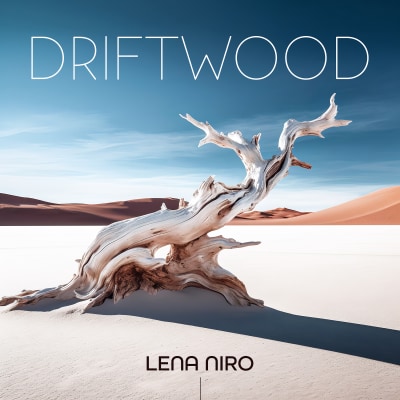 Driftwood - Lena Niro