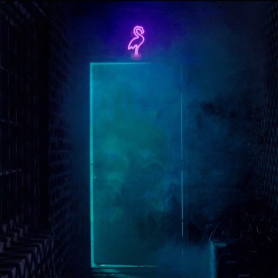 Doom Flamingo - "Lux Noir"