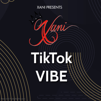 TIKTOK VIBE