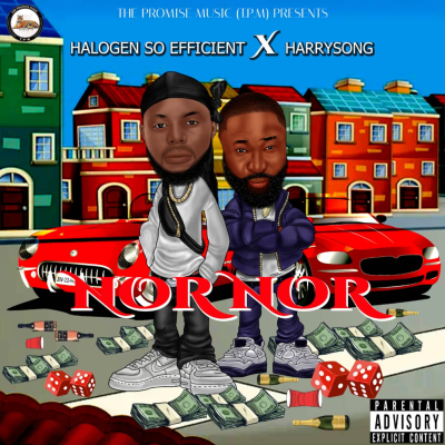 Halogen So Efficient fr Harrysong NorNor