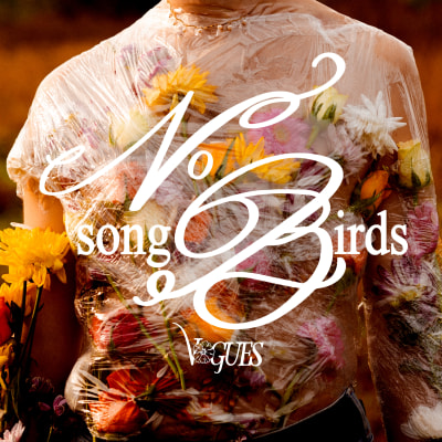 Vogues - No Songbirds EP