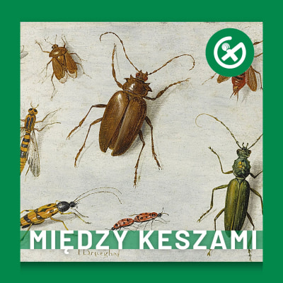 Geocaching: Przewodnik po Przedmiotach Podróżnych. Część 2