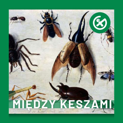 Geocaching: Przewodnik po Przedmiotach Podróżnych. Część 1