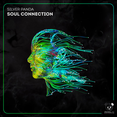 Silver Panda - Soul Connection
