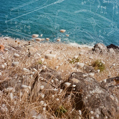 Bilby - i like / Aēsop