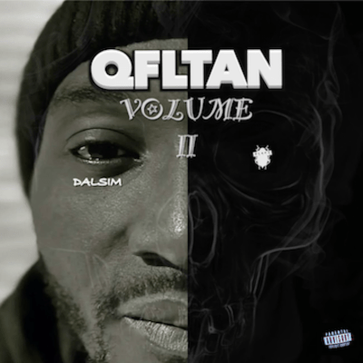 Dalsim QFLTAN 2