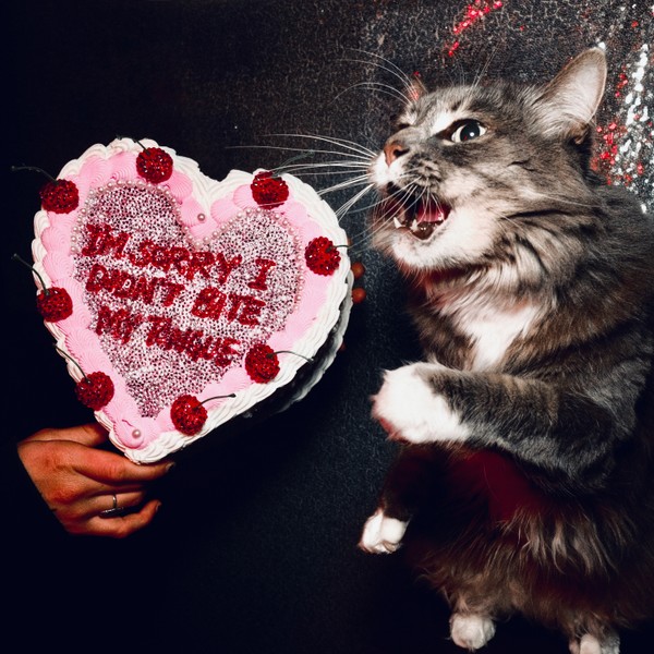 instant crush - "GRUDGE"