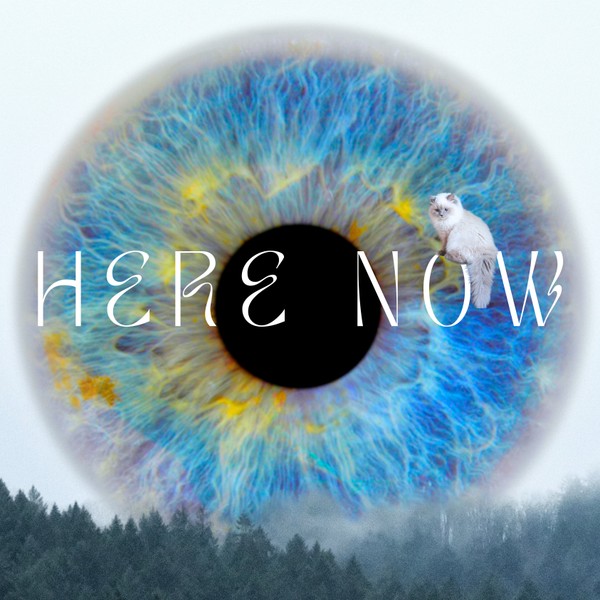 Here, Now