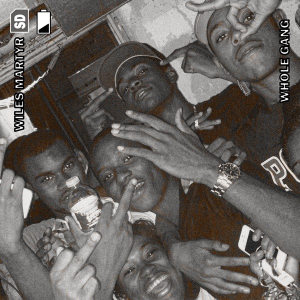 WHOLE GANG