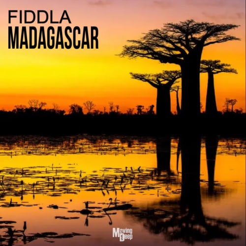 Fiddla - Madagascar
