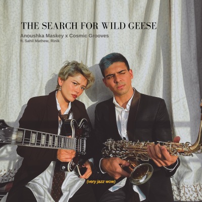 The Search For Wild Geese by Anoushka Maskey and Cosmic Grooves