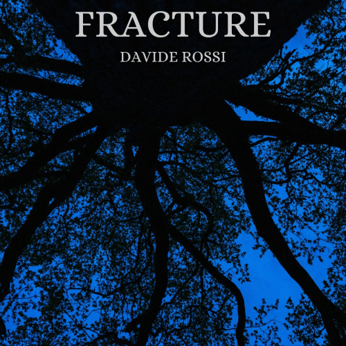 Fracture - DAVIDE ROSSI
