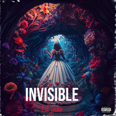 Lil josho-invisible
